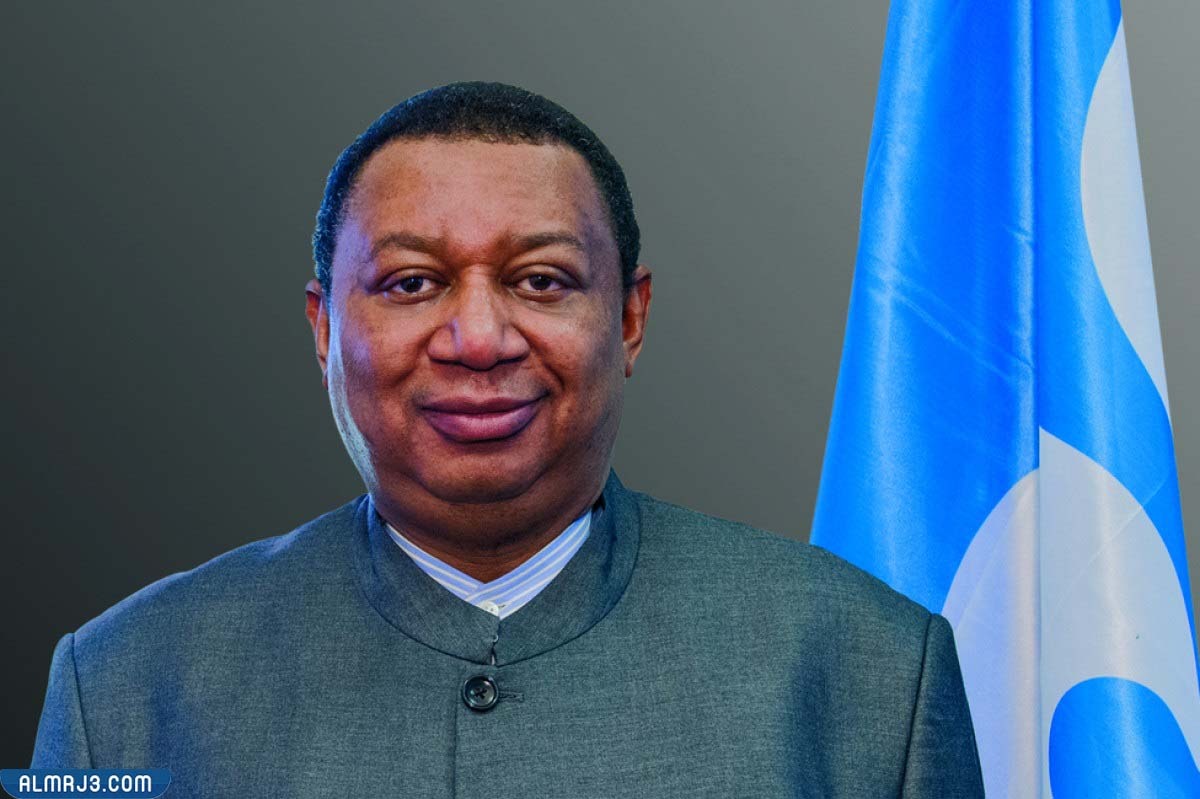 محمد باركيندو السيرة الذاتية