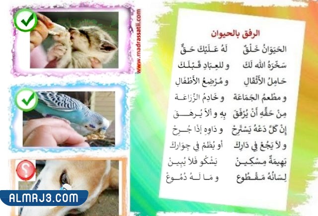 مطوية على الرفق بالحيوان