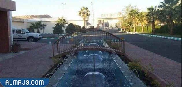 معلومات عن مدينة القويعية