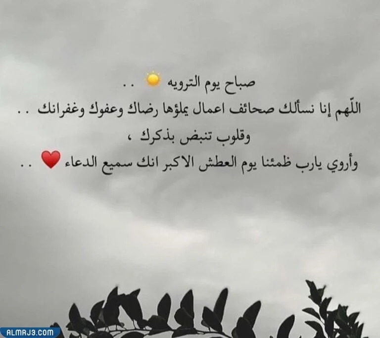 معلومات عن يوم التروية