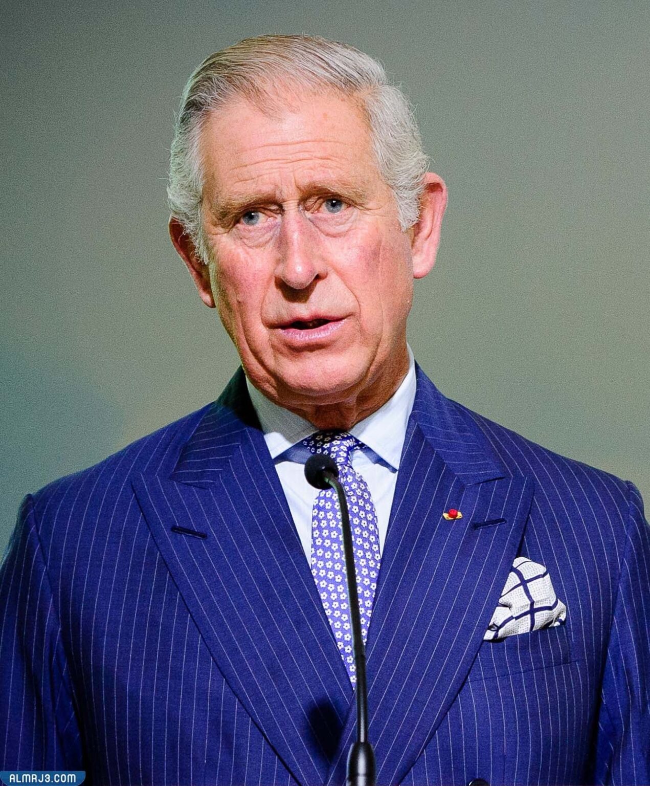 من هو الأمير تشارلز ويكيبيديا