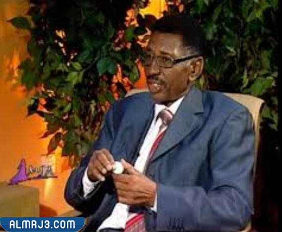 من هو الفاتح عمر مهدي ويكيبيديا