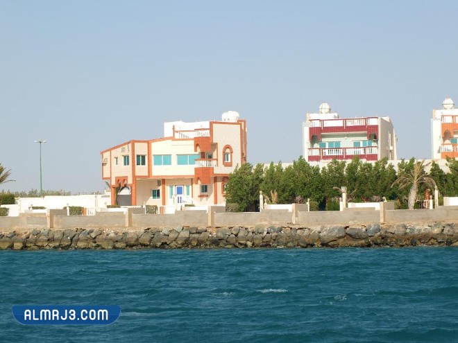 منتجع الأحمدي بلازا