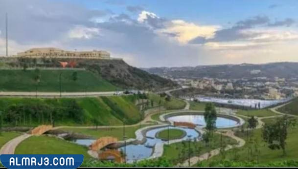 منطقة الباحة ويكيبيديا