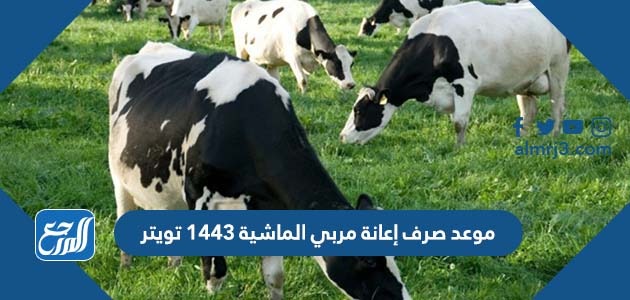 موعد صرف إعانة مربي الماشية 1443 تويتر
