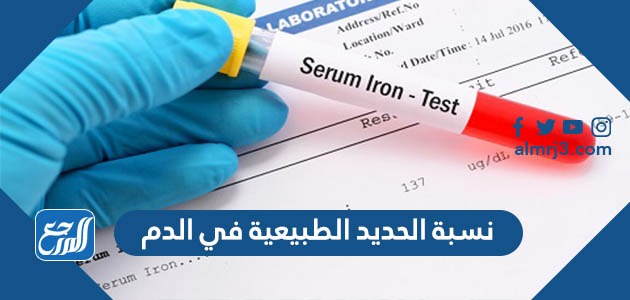 نسبة الحديد الطبيعية في الدم