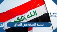 كم نسبة السنة في العراق 2025