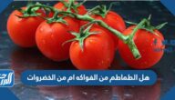 هل الطماطم من الفواكه ام من الخضروات هل الطماطم من الفواكه ام من الخضروات