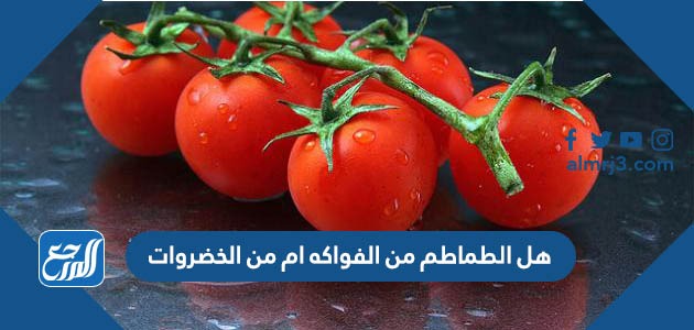 هل الطماطم من الفواكه ام من الخضروات