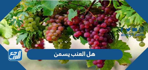 هل العنب يسمن ، تجربتي مع العنب لزيادة الوزن