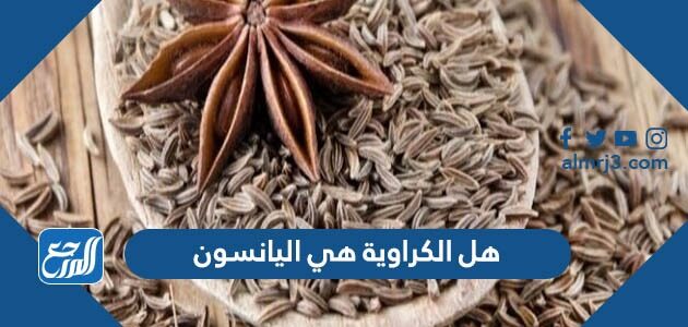 هل الكراوية هي اليانسون