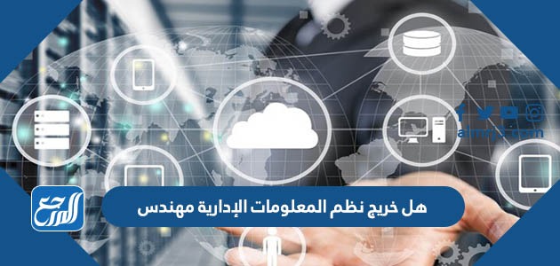 هل خريج نظم المعلومات الإدارية مهندس