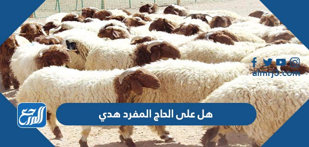 هل على الحاج المفرد هدي