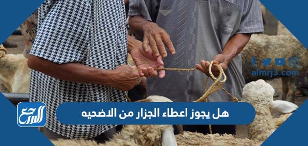 هل يجوز اعطاء الجزار من الاضحيه