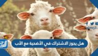 هل يجوز الاشتراك في الأضحية مع الأب