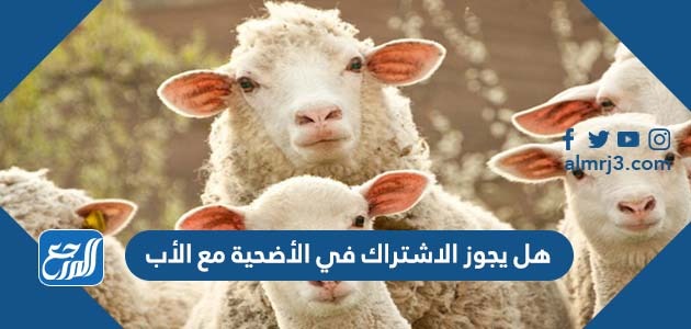 هل يجوز الاشتراك في الأضحية مع الأب