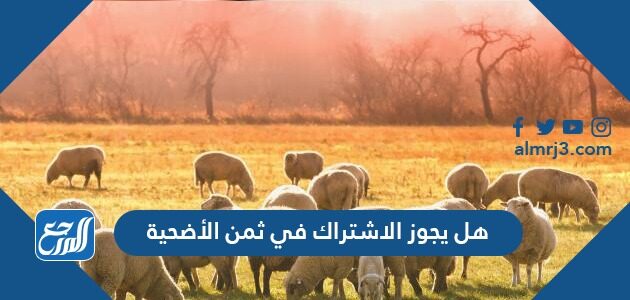 هل يجوز الاشتراك في ثمن الأضحية