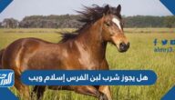هل يجوز شرب لبن الفرس إسلام ويب