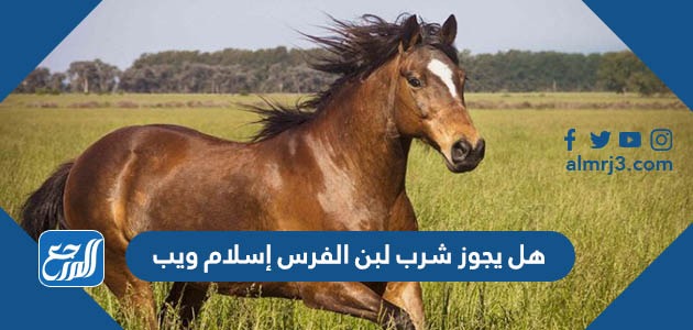 هل يجوز شرب لبن الفرس إسلام ويب