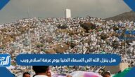 هل ينزل الله الى السماء الدنيا يوم عرفة اسلام ويب