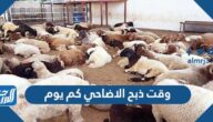 وقت ذبح الاضاحي كم يوم