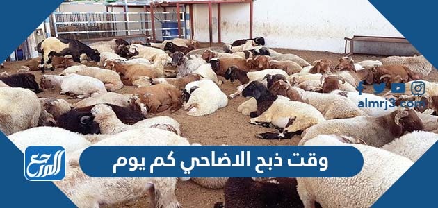 وقت ذبح الاضاحي كم يوم