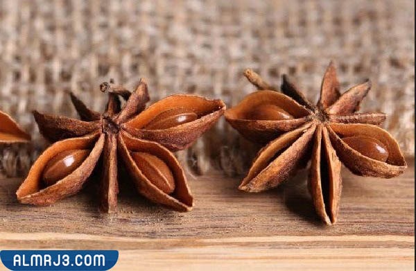 مكونات اليانسون النجمي