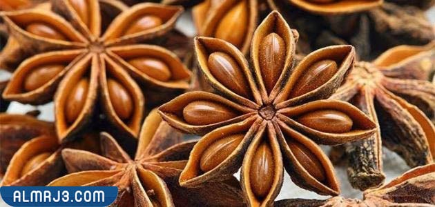 فوائد اليانسون النجمي