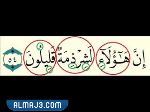 معنى كلمة شرزما في القرآن