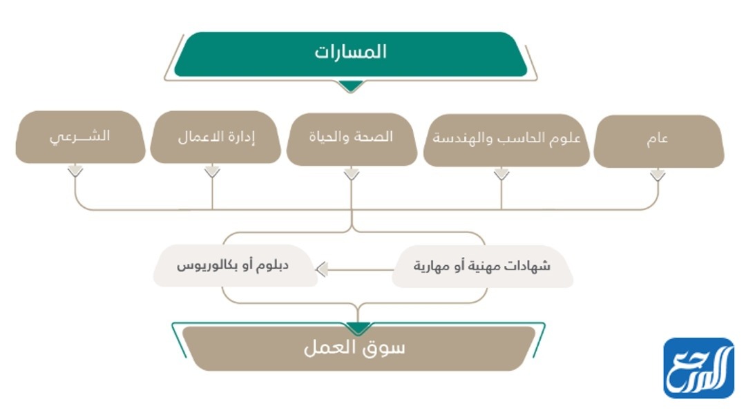 ماهي تخصصات المسار العام