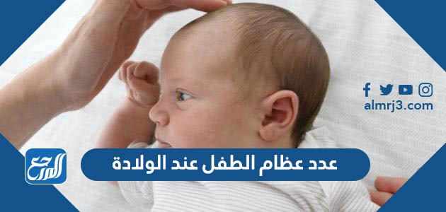 عدد عظام الطفل عند الولادة