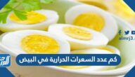 كم عدد السعرات الحرارية في البيض