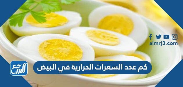 كم عدد السعرات الحرارية في البيض
