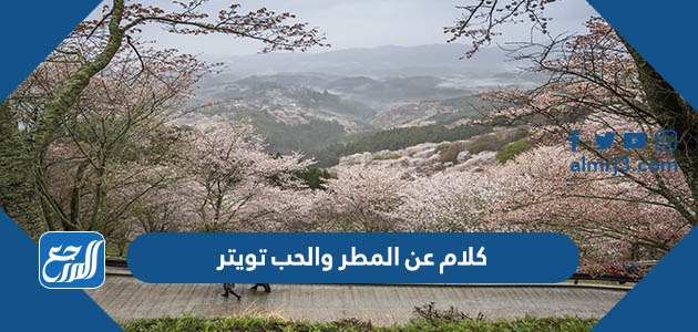 كلام عن المطر والحب تويتر