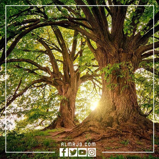 أجمل صور وخلفيات طبيعية 2023