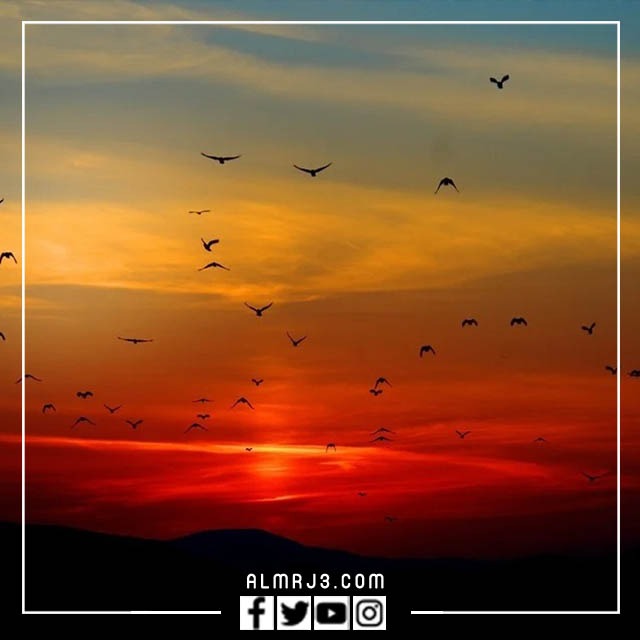 أجمل صور وخلفيات طبيعية 2023