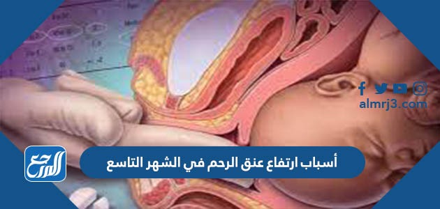 أسباب ارتفاع عنق الرحم في الشهر التاسع
