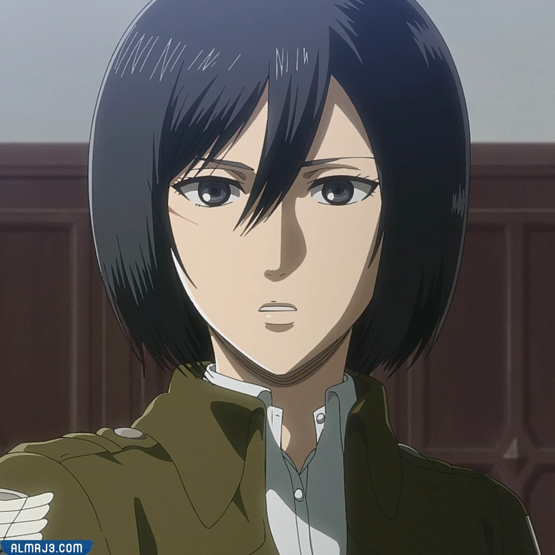 أسماء شخصيات انمي هجوم العمالقة بالصور