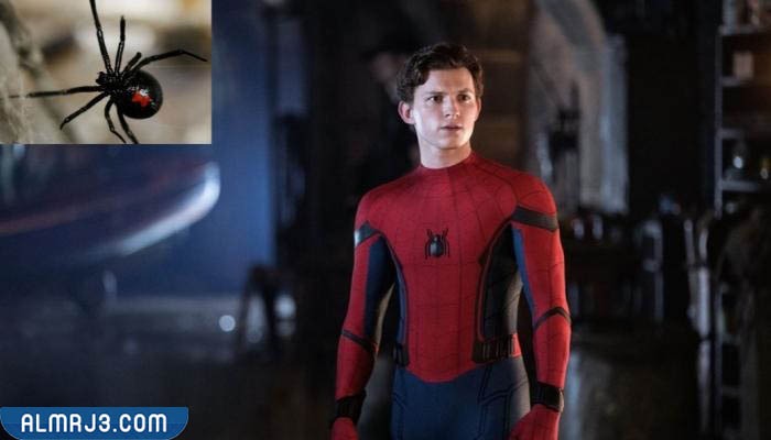 أسماء شخصيات مسلسل مارفل بالصور (6)