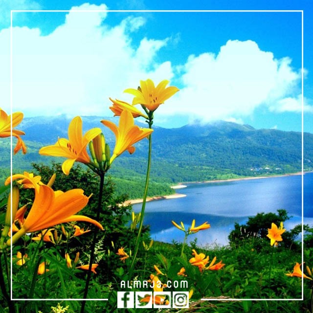 اجمل صور خلفيات طبيعيه HD