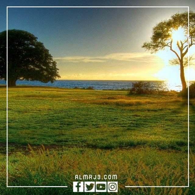 اجمل صور خلفيات طبيعيه HD