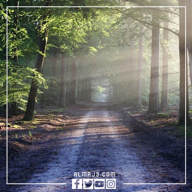 احلى صور خلفيات مناظر طبيعية 2023