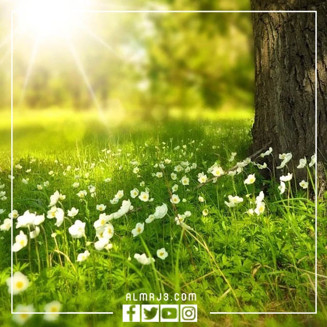 احلى صور خلفيات مناظر طبيعية 2023