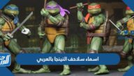 اسماء سلاحف النينجا بالعربي وصورهم