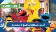 اسماء شخصيات افتح يا سمسم بالصور