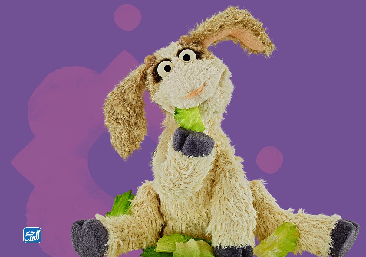 اسماء شخصيات افتح يا سمسم بالصور