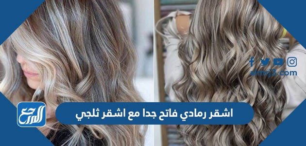 اشقر رمادي فاتح جدا مع اشقر ثلجي