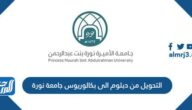 شروط التحويل من دبلوم الى بكالوريوس جامعة نورة 1447
