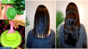 الجرجير والثوم للشعر تجربتي