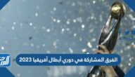 الفرق المشاركة في دوري أبطال أفريقيا 2023